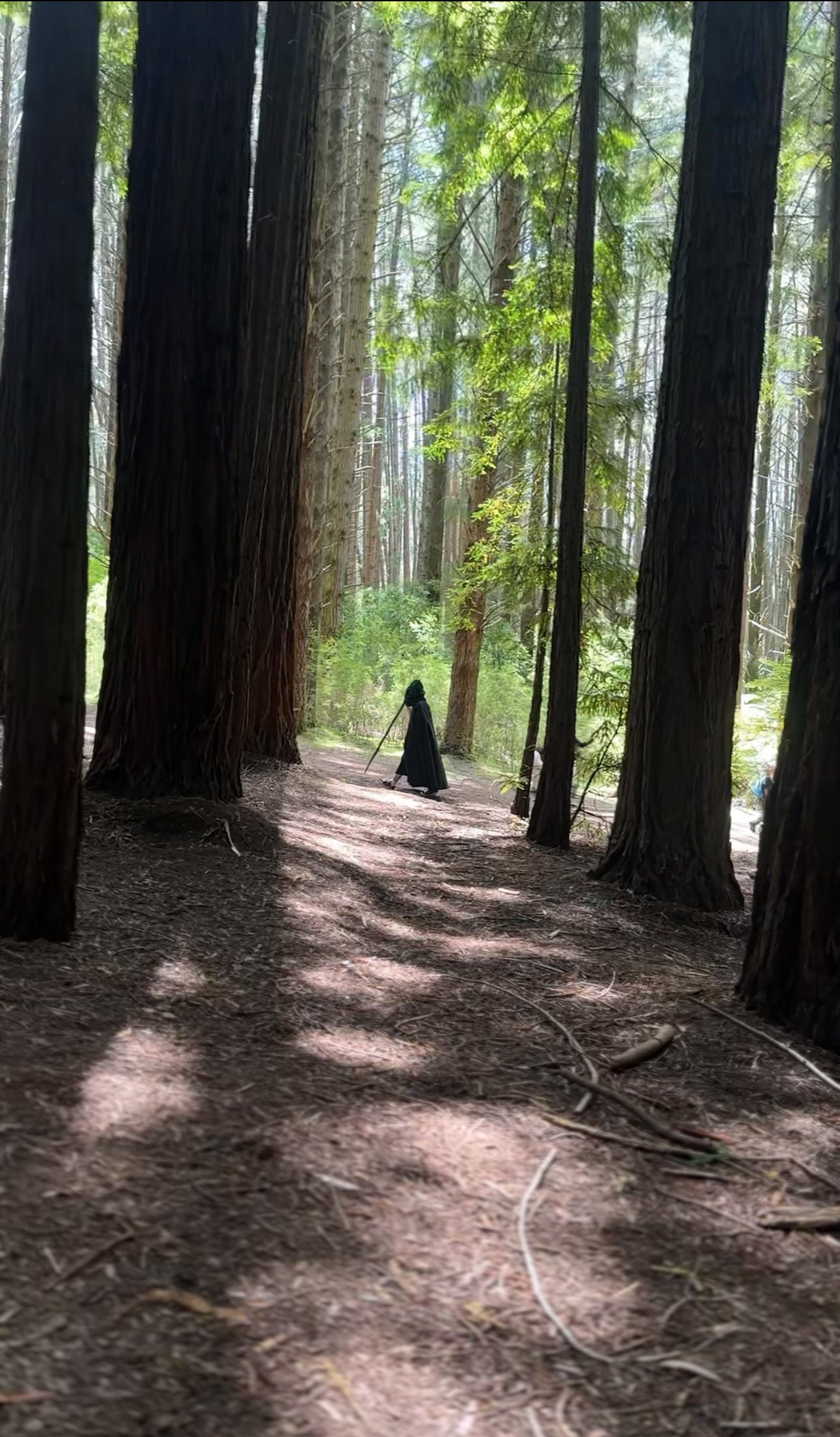 Heavy Cloak